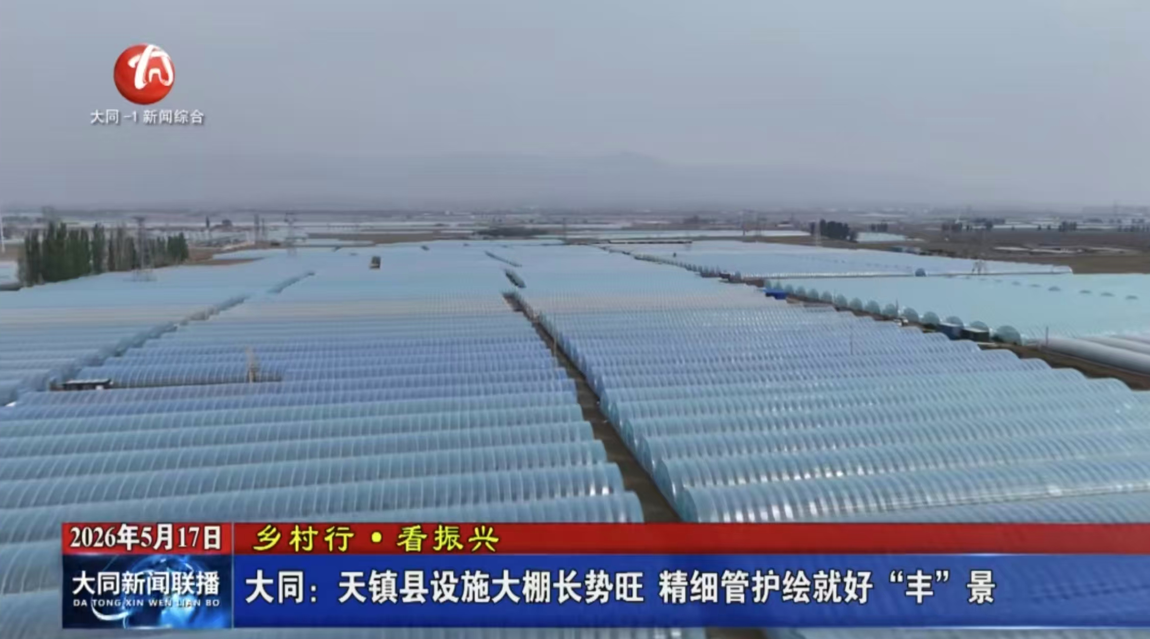 天鎮縣設施大棚長勢旺  精細管護繪就好“豐”景
